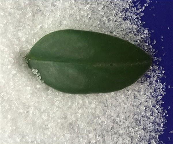 為什么硫酸鎂價(jià)格會(huì)有差別呢？